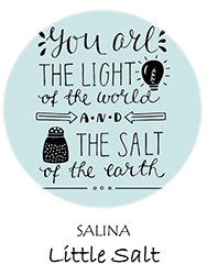 Salina Little Team